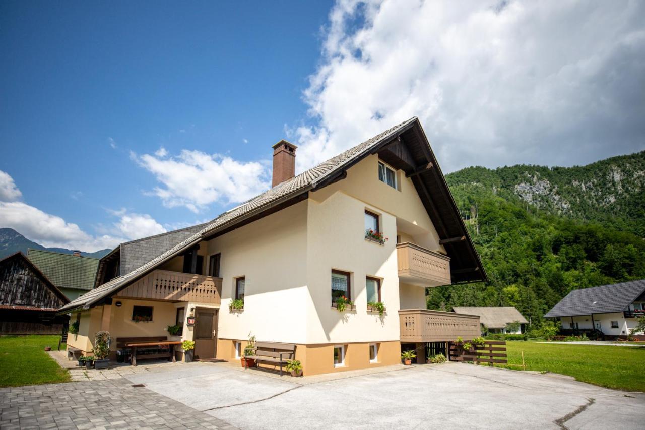 Apartment Darinka Mencinger