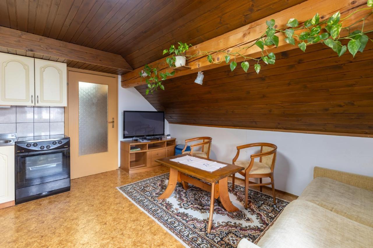Darinka Mencinger Apartment