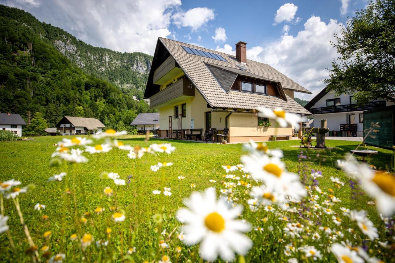 Apartment Darinka Mencinger Bohinj